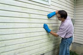 Best Vinyl Siding Installation  in Creola, AL